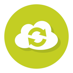 BrightCloud Cloud Disaster Recovery Logo