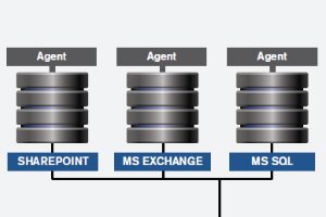 Agent-Based Backup Thumb