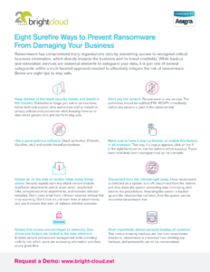 8 Ways to Prevent Ransomware From Damaging Your Business