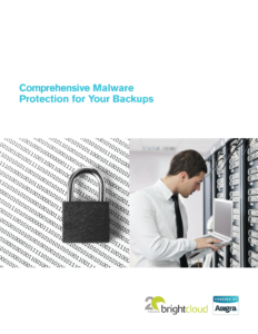 Comprehensive Malware Protection for your Backups_Page_1